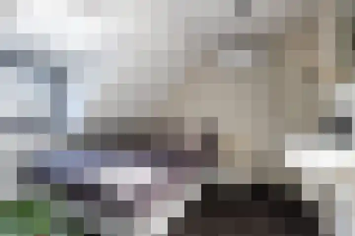 Korte Dreef 9 Emmeloord thumbnail 25