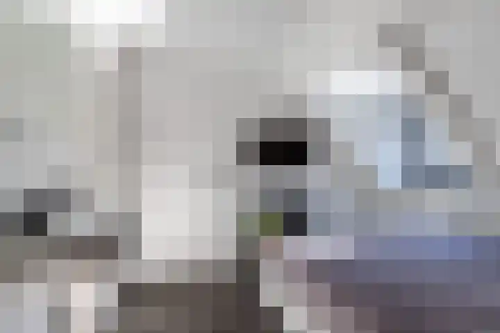Korte Dreef 9 Emmeloord thumbnail 26