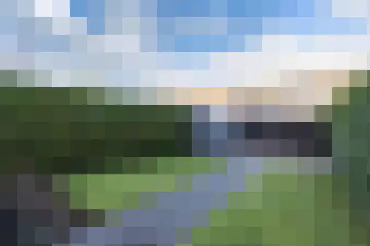 Korte Dreef 9 Emmeloord thumbnail 34