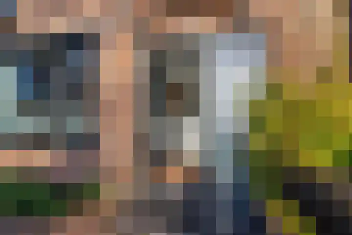 Korte Dreef 9 Emmeloord thumbnail 38