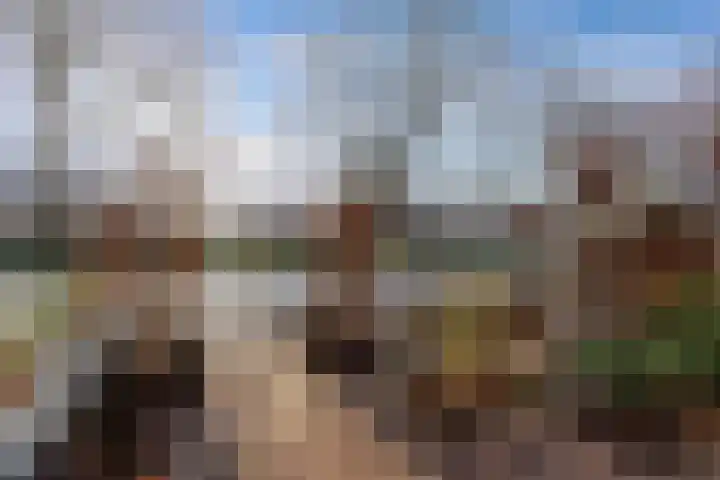 Korte Dreef 9 Emmeloord thumbnail 39