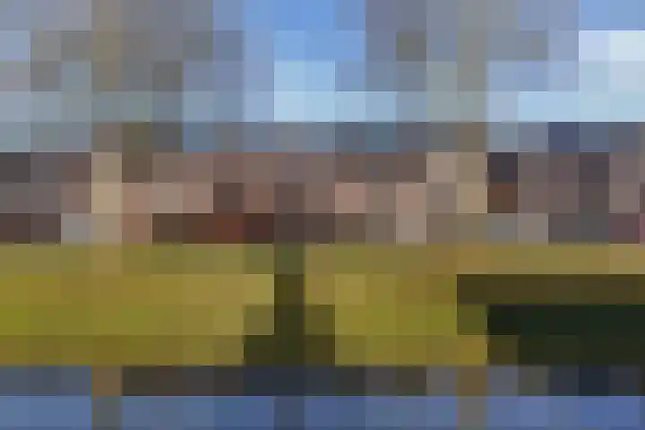 Korte Dreef 9 Emmeloord thumbnail 40