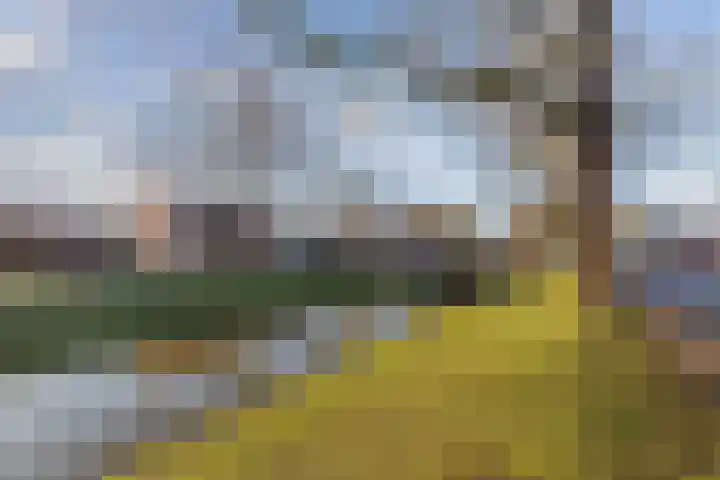 Korte Dreef 9 Emmeloord thumbnail 42
