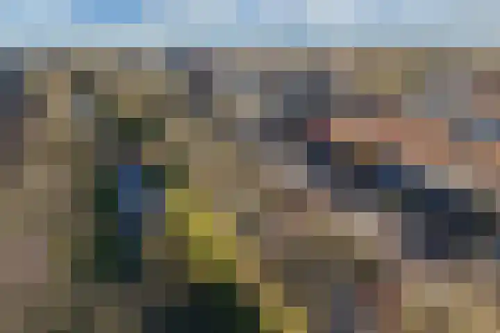 Korte Dreef 9 Emmeloord thumbnail 43