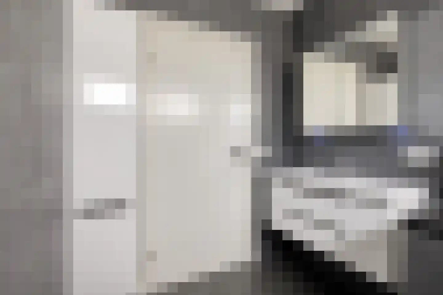 Korte Drilweg 3 Venray thumbnail 37