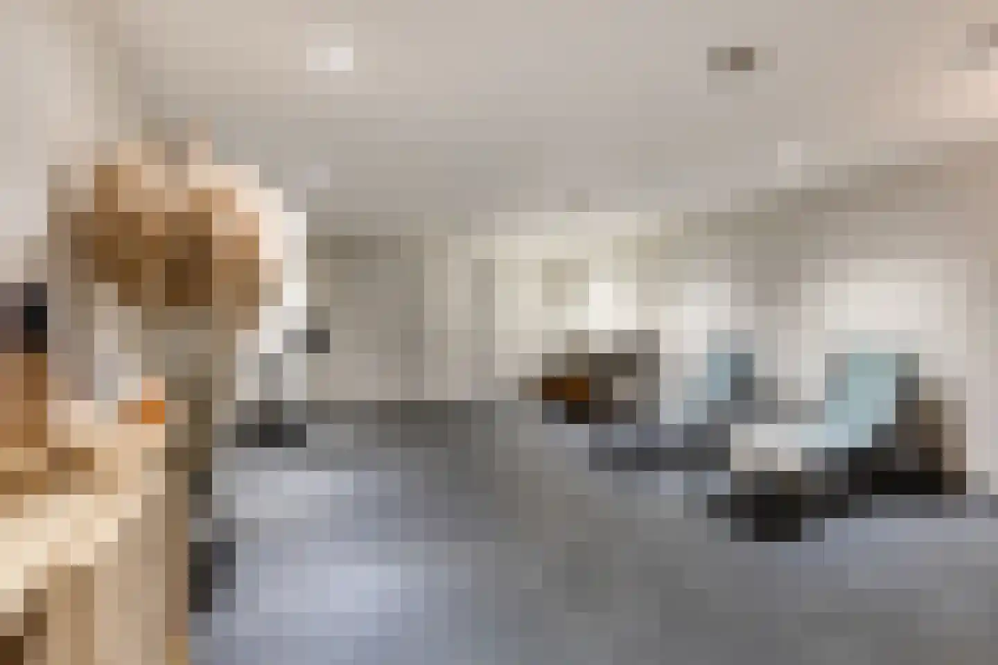 Korte Drilweg 3 Venray thumbnail 43