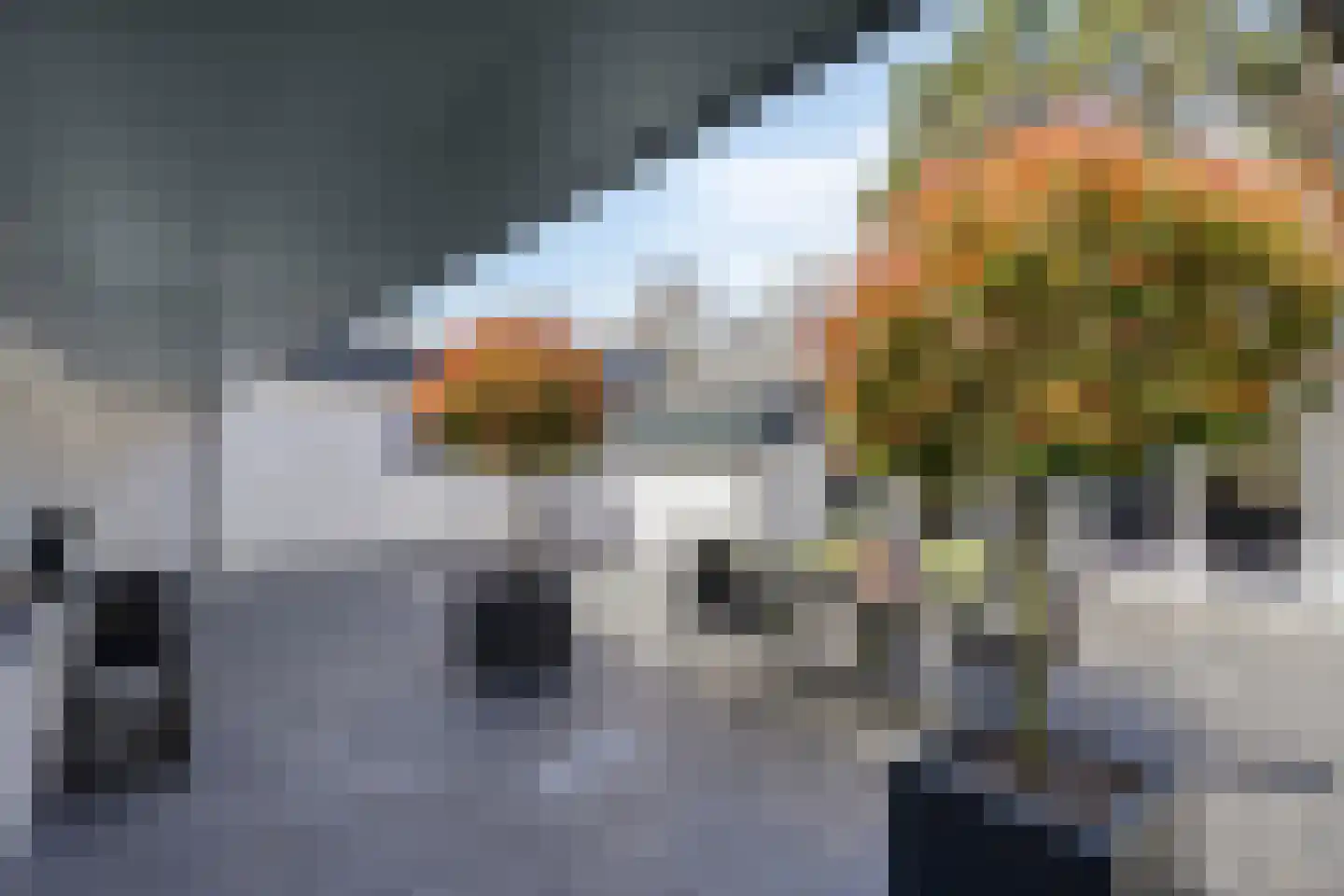 Korte Drilweg 3 Venray thumbnail 45