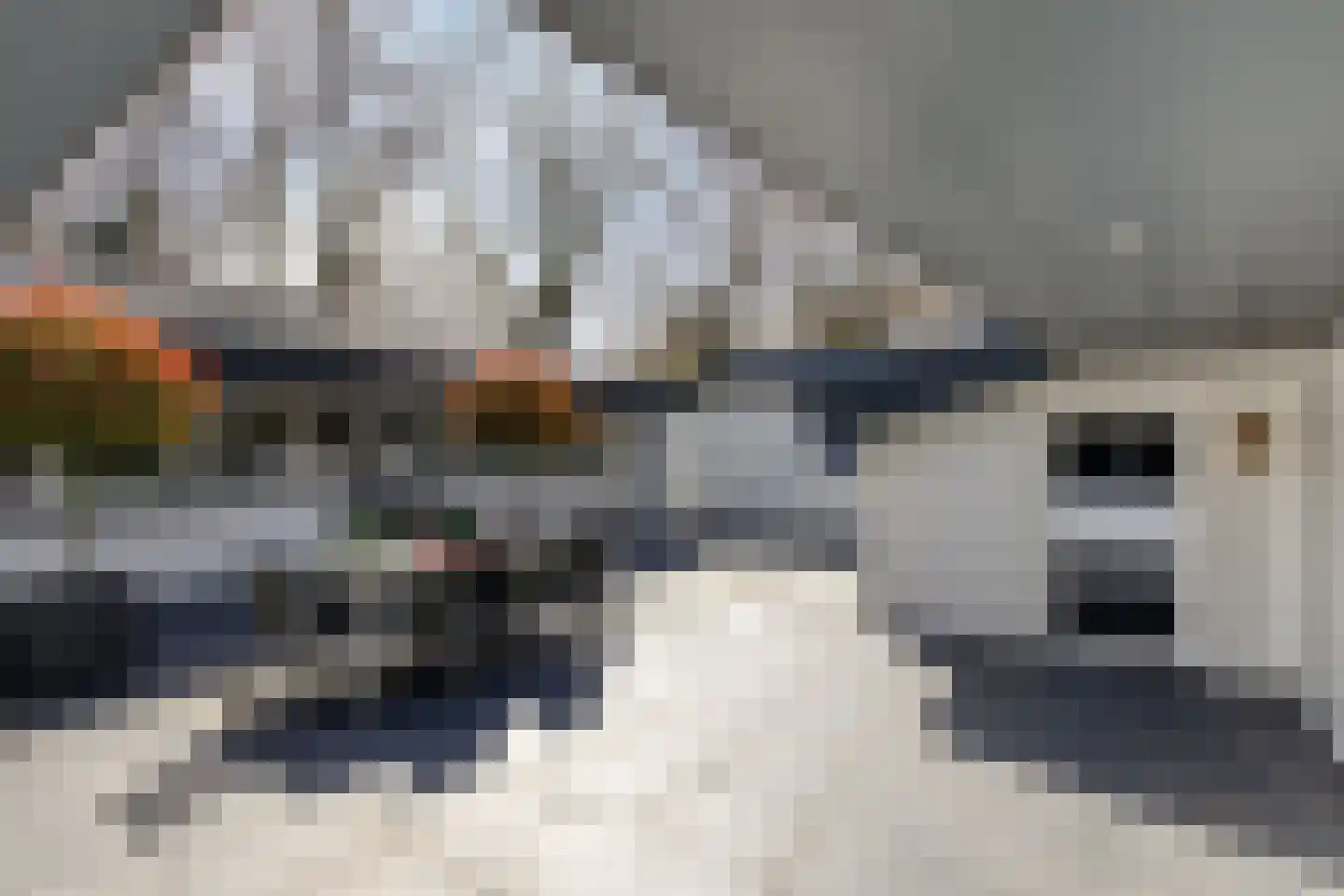 Korte Drilweg 3 Venray thumbnail 46