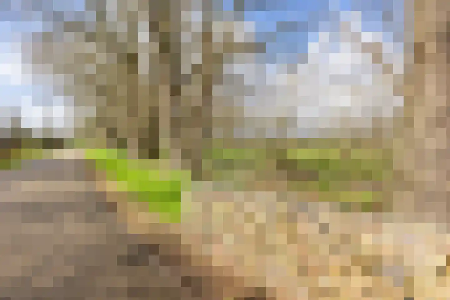 Korte Drilweg 3 Venray thumbnail 63