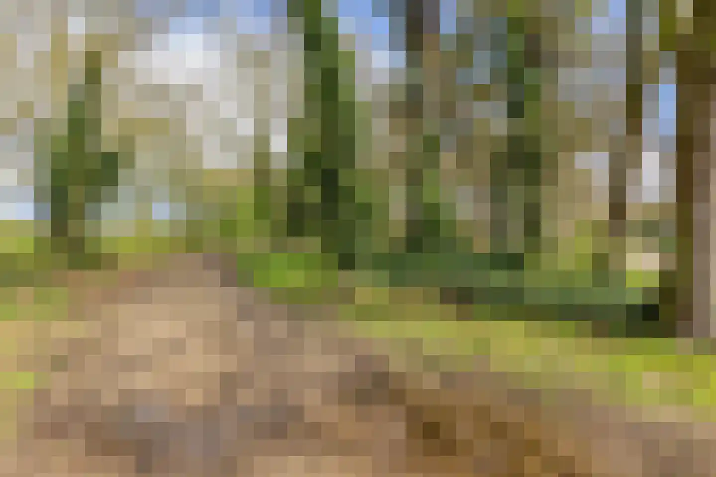 Korte Drilweg 3 Venray thumbnail 64