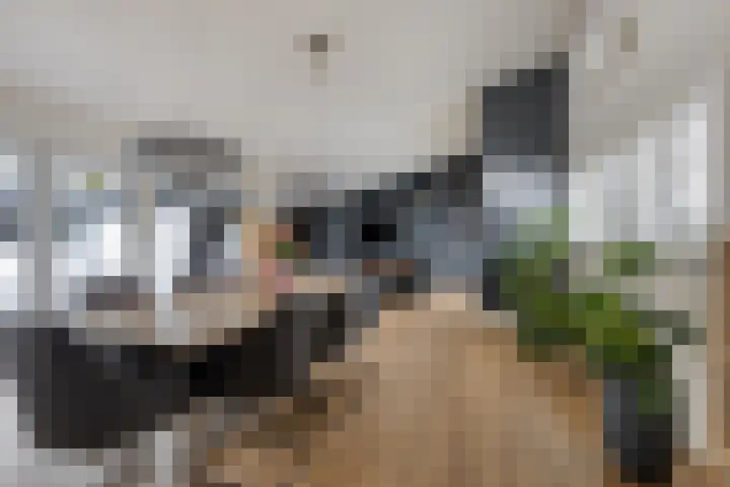 Korte Drilweg 3 Venray thumbnail 8