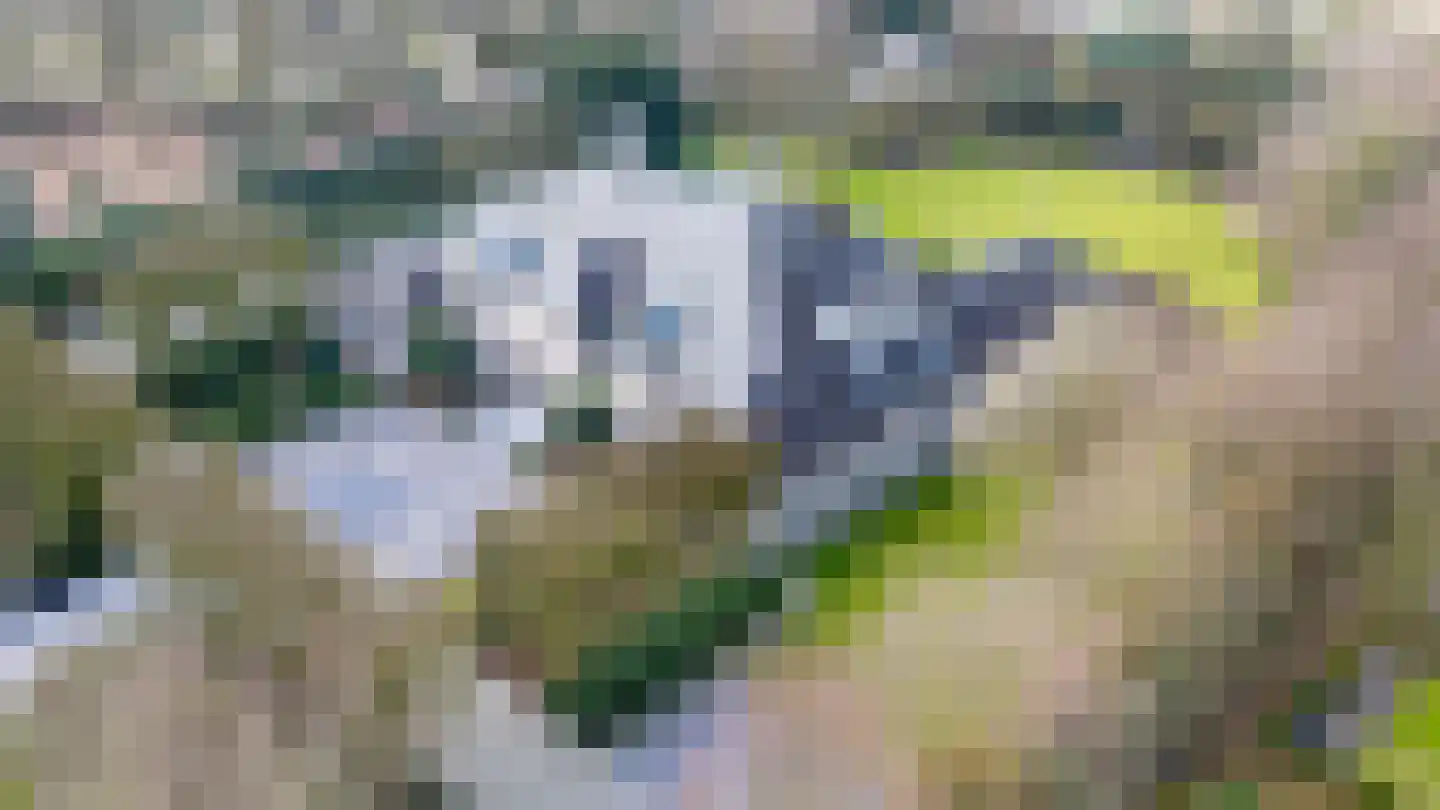 Korte Drilweg 4 A Venray thumbnail 4