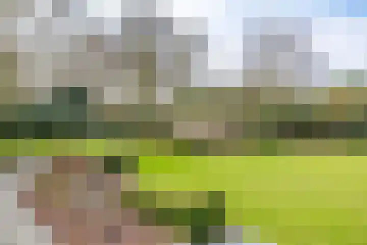 Korte Drilweg 4 A Venray thumbnail 42