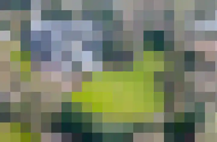 Korte Drilweg 4 A Venray thumbnail 44