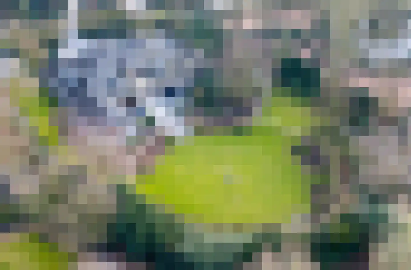 Korte Drilweg 4 A Venray thumbnail 44