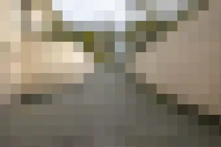 Korte Drilweg 4 A Venray thumbnail 57
