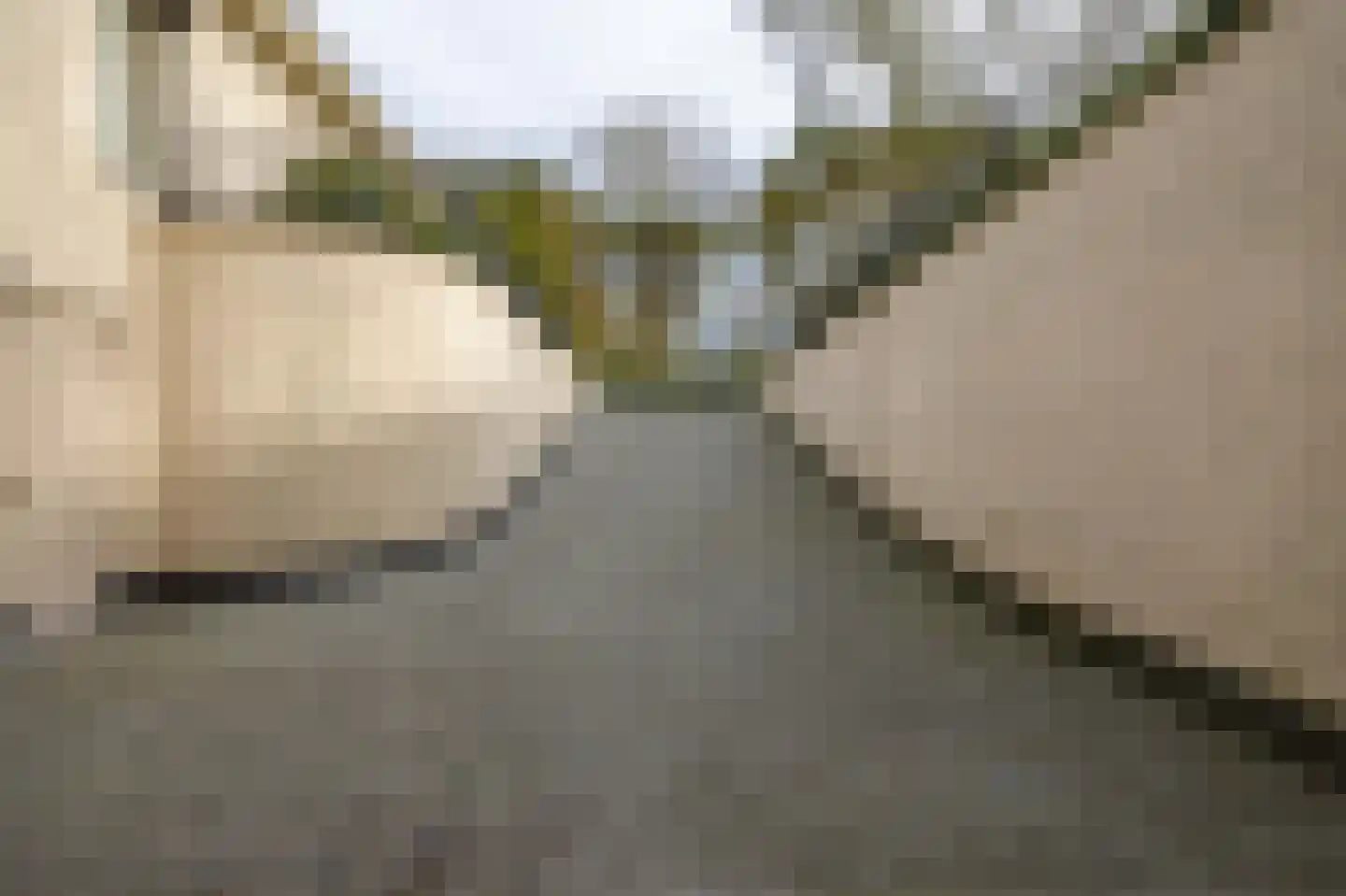 Korte Drilweg 4 A Venray thumbnail 57