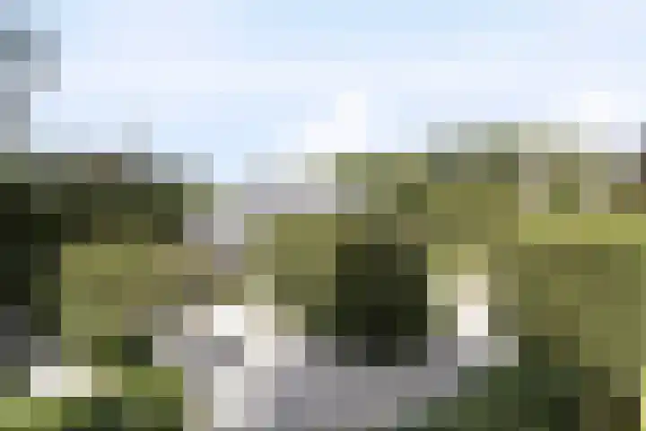 Korte Drilweg 4 A Venray thumbnail 62