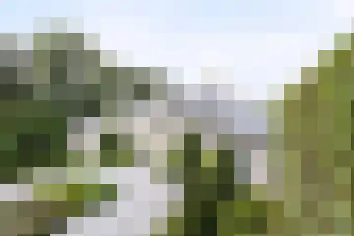 Korte Drilweg 4 A Venray thumbnail 63