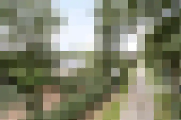 Korte Drilweg 4 A Venray thumbnail 64