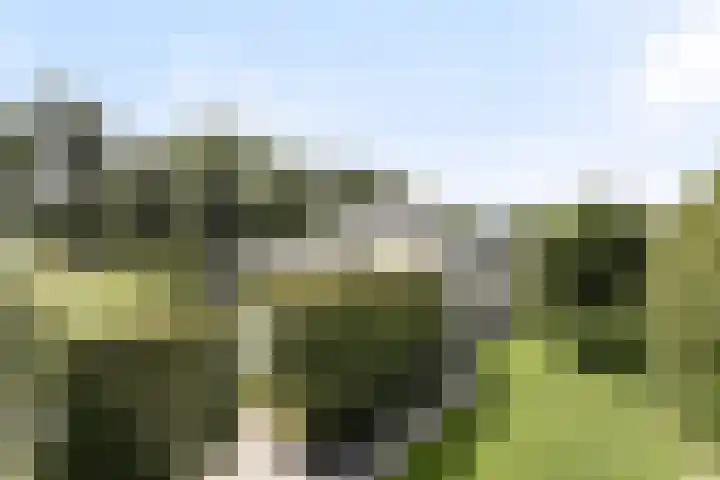 Korte Drilweg 4 A Venray thumbnail 65
