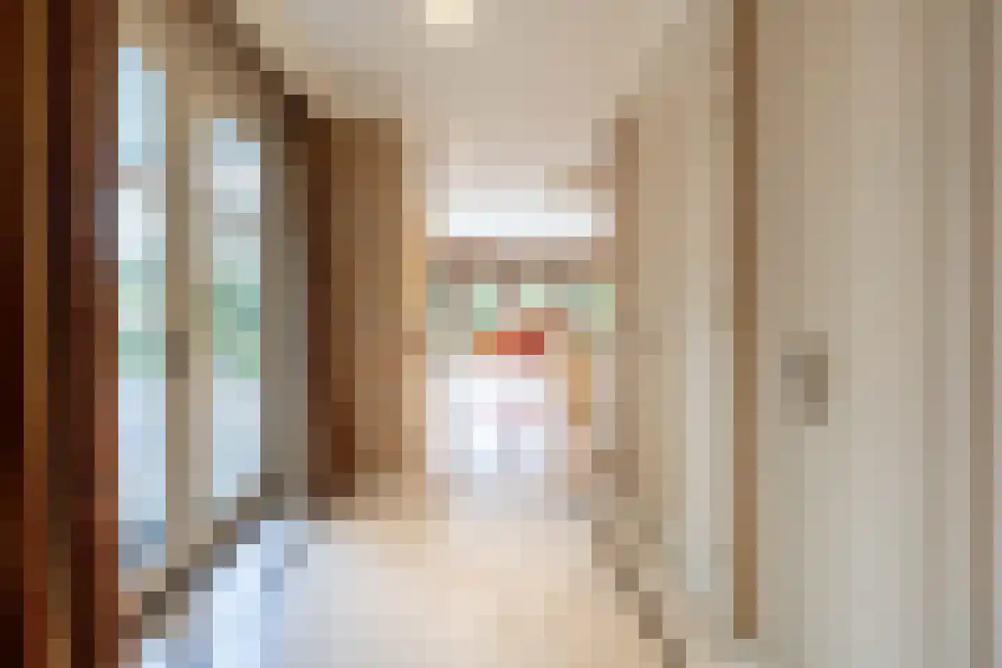 Korte Drilweg 4 B Venray thumbnail 18