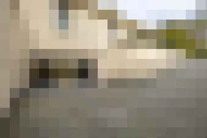 Korte Drilweg 4 B Venray thumbnail 54