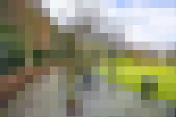 Korte Drilweg 4 B Venray thumbnail 64