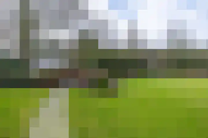 Korte Drilweg 4 B Venray thumbnail 65