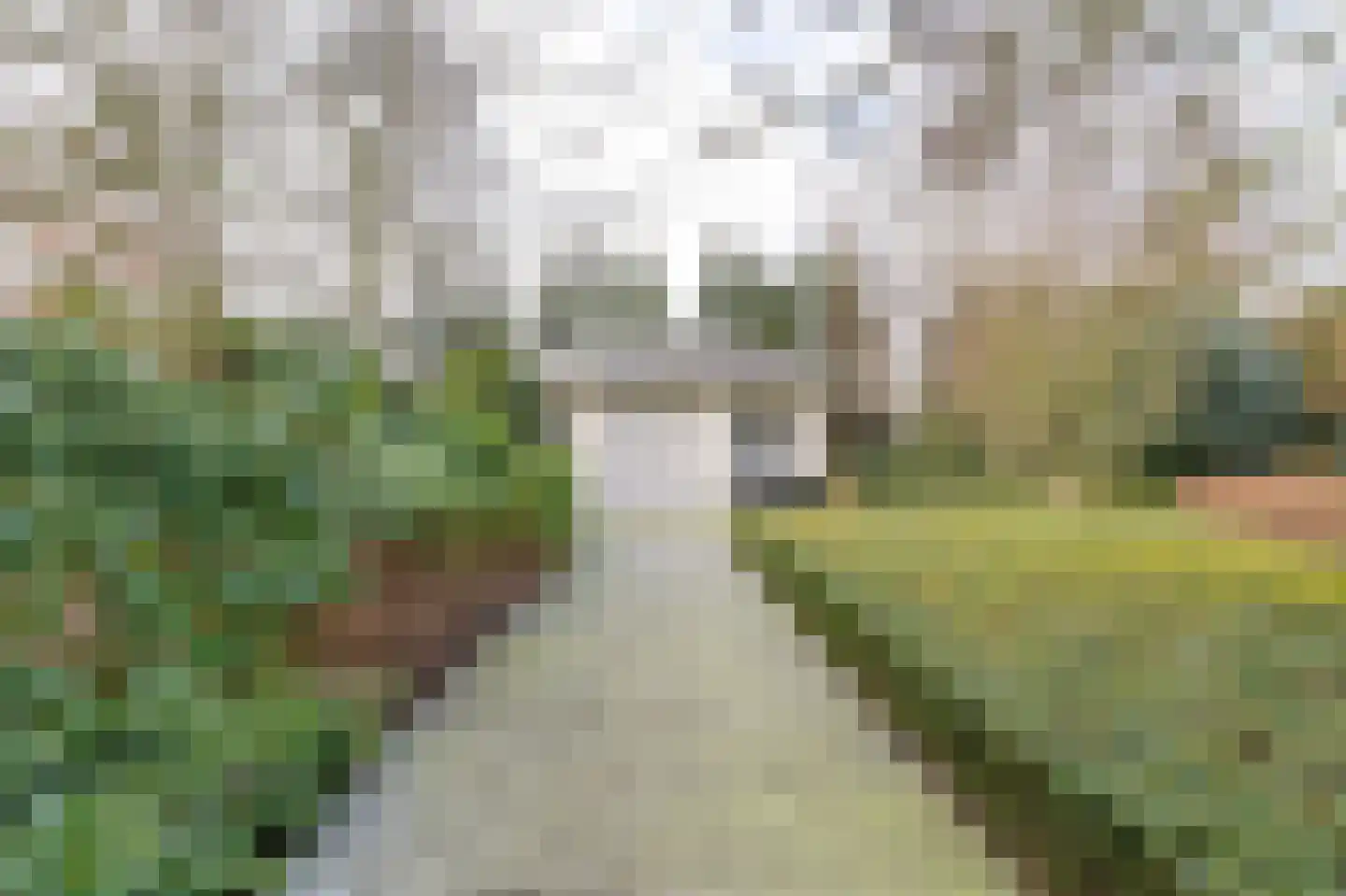 Korte Drilweg 4 B Venray thumbnail 66