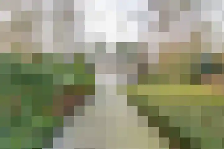 Korte Drilweg 4 B Venray thumbnail 66