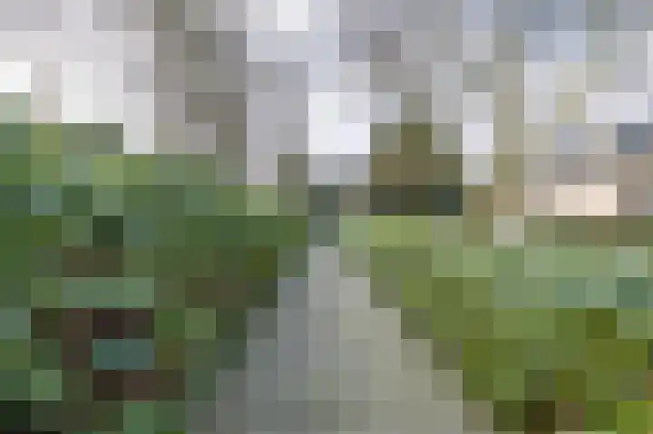 Korte Drilweg 4 B Venray thumbnail 67