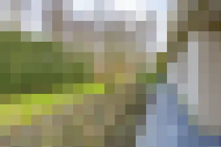 Korte Drilweg 4 B Venray thumbnail 70