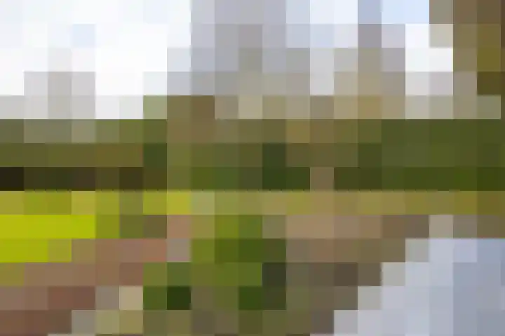 Korte Drilweg 4 B Venray thumbnail 71