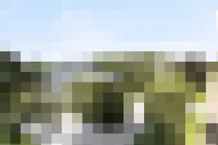Korte Drilweg 4 B Venray thumbnail 74