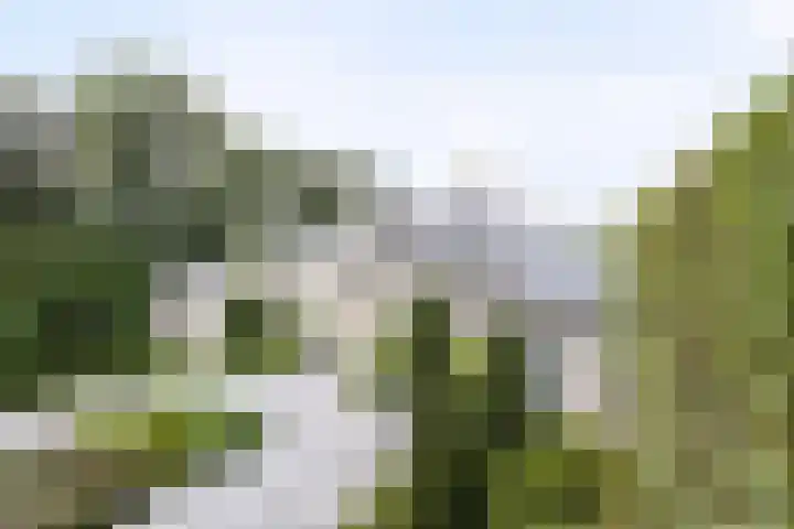Korte Drilweg 4 B Venray thumbnail 75