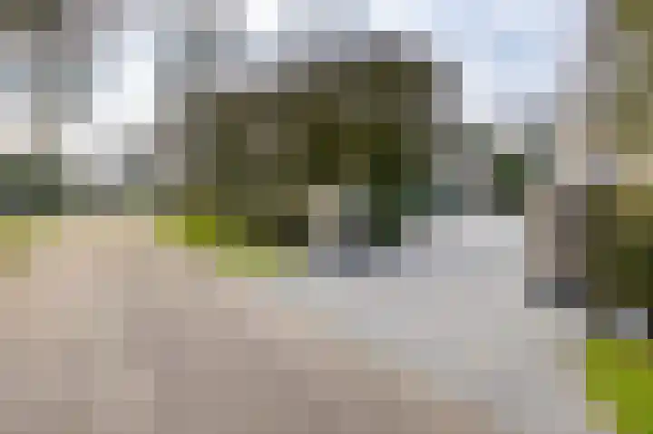 Korte Drilweg 4 B Venray thumbnail 78