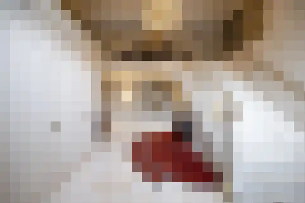 Korte Drilweg 4 Venray thumbnail 4