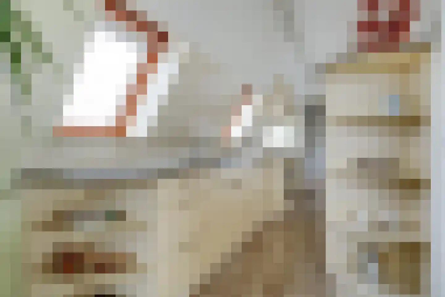 Korte Engelenburgerkade 4 B Dordrecht thumbnail 10