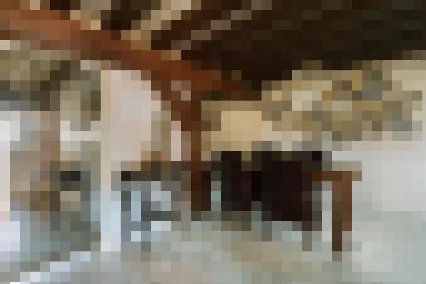 Korte Engelenburgerkade 6 Dordrecht thumbnail 7