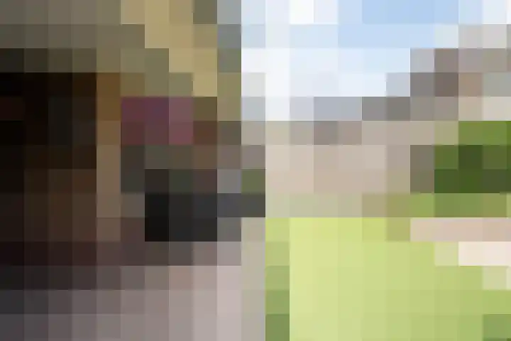 Korte Enkweg 16 Epe thumbnail 24