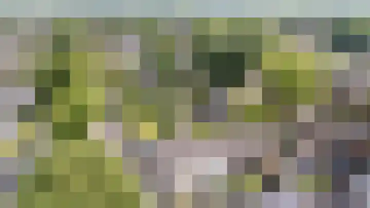 Korte Enkweg 16 Epe thumbnail 29