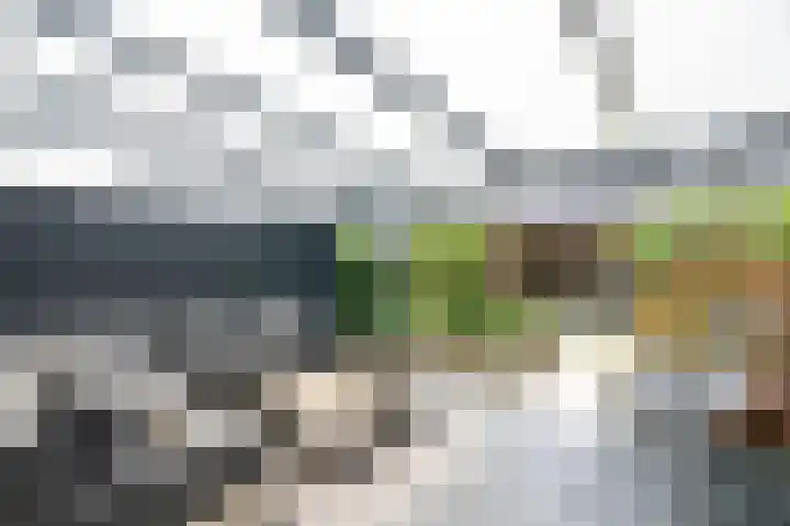 Korte Enkweg 16 Epe thumbnail 4