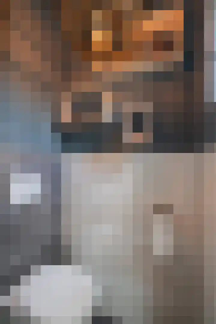 Korte Enkweg 16 Epe thumbnail 6