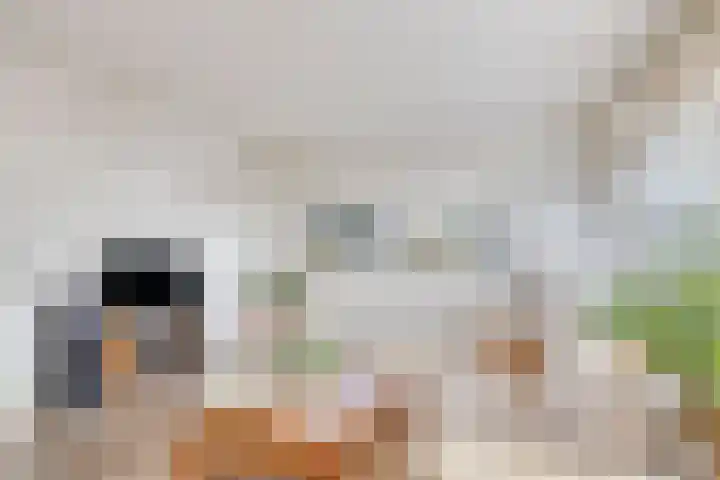Korte Enkweg 5 Epe thumbnail 10