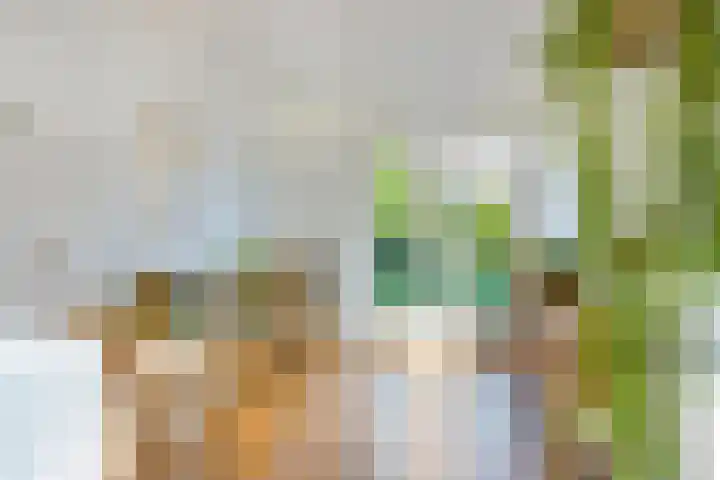 Korte Enkweg 5 Epe thumbnail 14