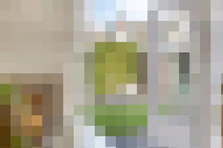 Korte Enkweg 5 Epe thumbnail 15