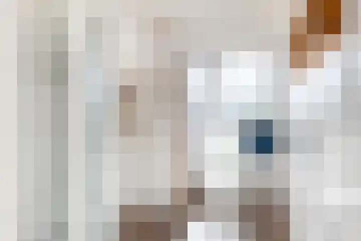 Korte Enkweg 5 Epe thumbnail 22