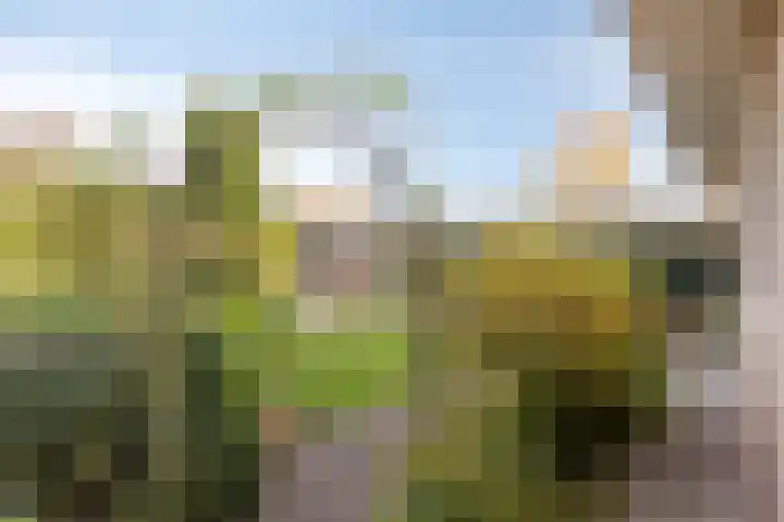 Korte Enkweg 5 Epe thumbnail 28
