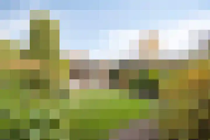 Korte Enkweg 5 Epe thumbnail 29
